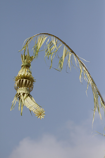 Penjor young coconut leaves