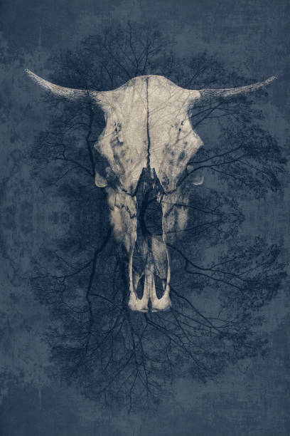 istock fantastic background, a bull's skull with horns 673360274