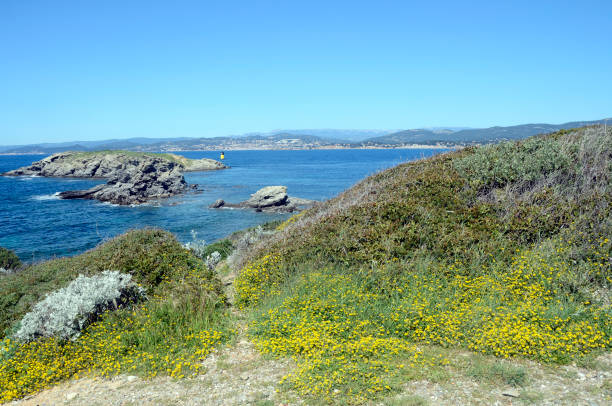 istock Embiez island landscape, France 673360342
