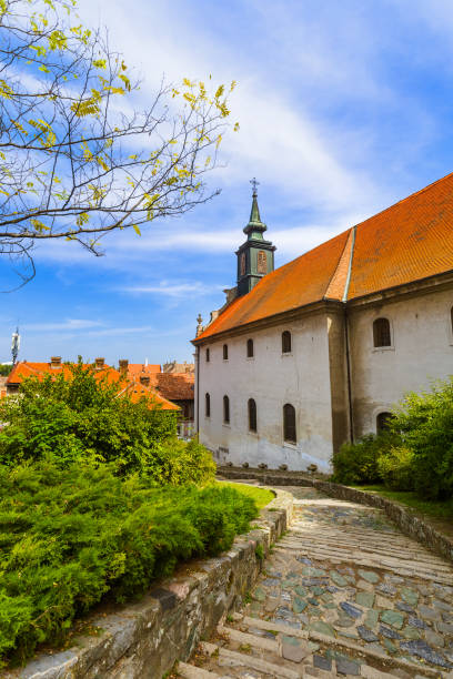 istock Old town in Novi Sad - Serbia 673361142