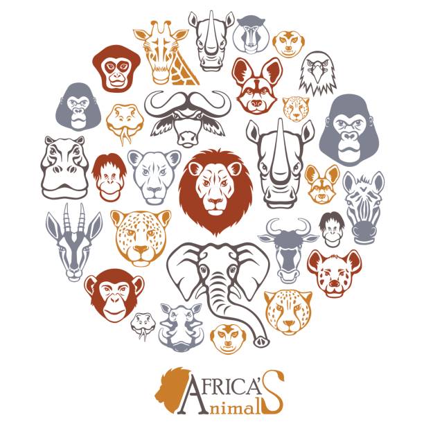 ilustraciones, imágenes clip art, dibujos animados e iconos de stock de collage de animales africano - monkey baboon elephant ape