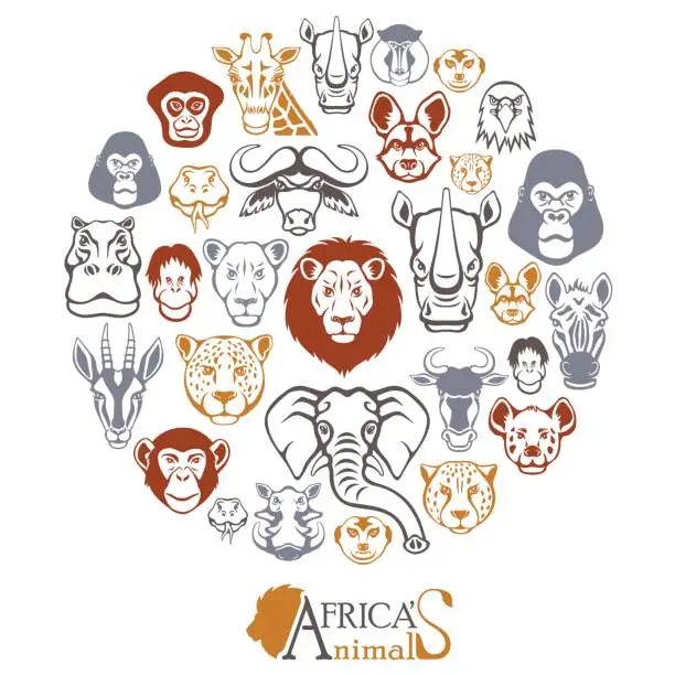 Vector illustration of African Animals Collage