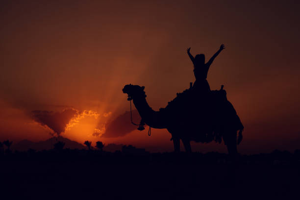 istock freedom in the desert 673374782