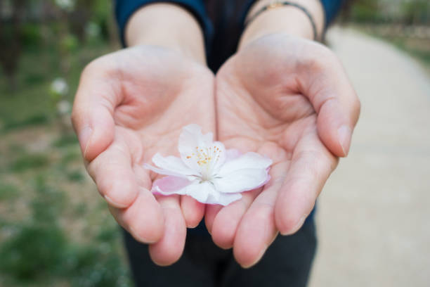 istock Woman hand holding flowers 673375462