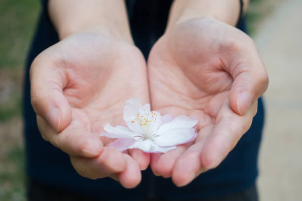 istock Woman hand holding flowers 673379584