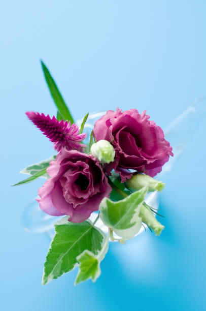 istock Turkey Kikyo minibouquet 673383390
