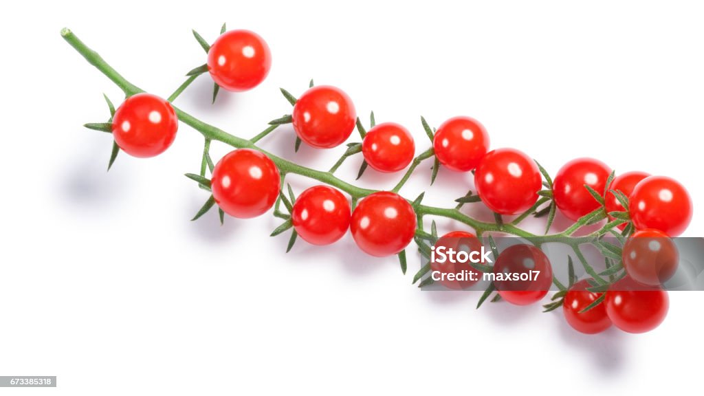Tiny tomatoes (Solanum pimpinellifolium) on vine, paths, top vie Currant sweet pea tomatoes (Solanum pimpinellifolium) cluster. Clipping paths, shadow separated, top view Above Stock Photo