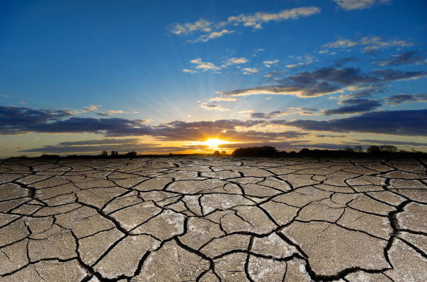istock Texture cracked, dry the surface of the earth. Earth  turned into a desert. Global warming, drought 673386584
