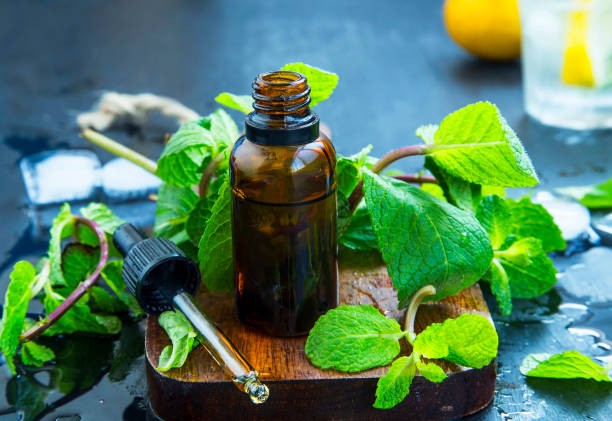 olio essenziale di menta in bottiglia. foglie di menta piperita fresca con olio essenziale, medicina alternativa - menta piperita foto e immagini stock