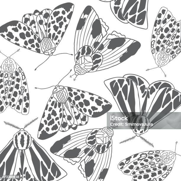 Summer Moth Coloring Page Hand Drawn Vector Illustration Stock Illustration - Download Image Now