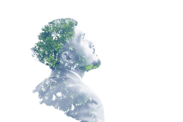 istock Double exposure of businessman and tree 673403378