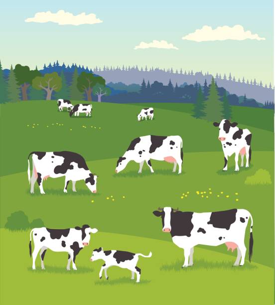 landschaft mit pasturing cows mit babykühen - young bird stock-grafiken, -clipart, -cartoons und -symbole