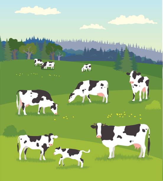 illustrazioni stock, clip art, cartoni animati e icone di tendenza di paesaggio con mucche da intarsio con vacche da latte - animals feeding illustrations