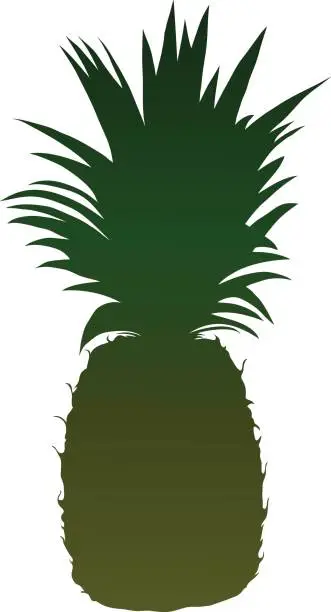 Vector illustration of Pineapple Silhouette