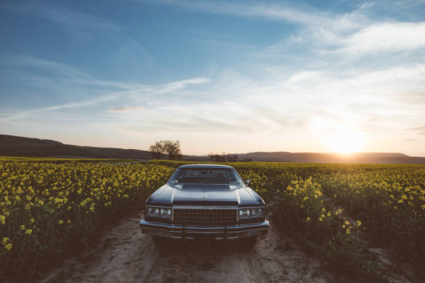 istock Vintage car at sunset 673442538