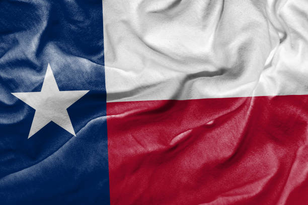 istock Waving Flag of Texas, USA 673443296