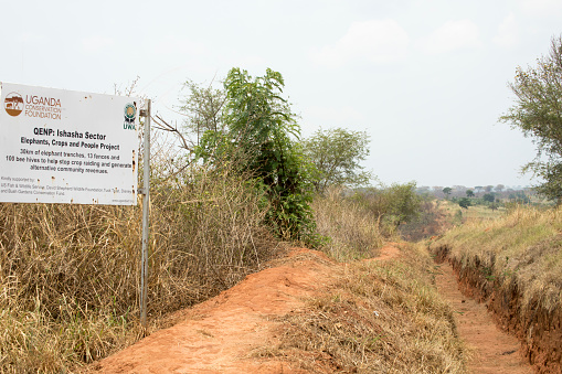Queen Elizabeth National Park: Trench built on boundary of Ishasha district of Queen Elizabeth National Park, Uganda to prevent crop raiding from resident elephants.
