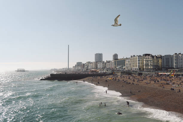 istock Seagull Flying Over People At Beach Against Sky 673443671