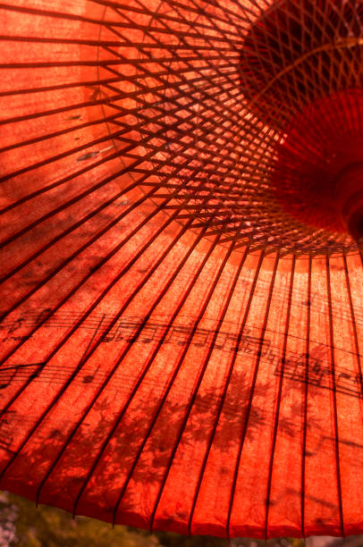 istock Music and the Red umbrella 673452728