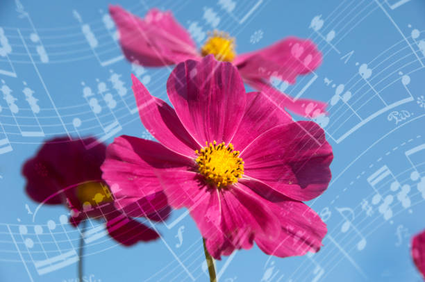 istock Music and the cosmos 673458324