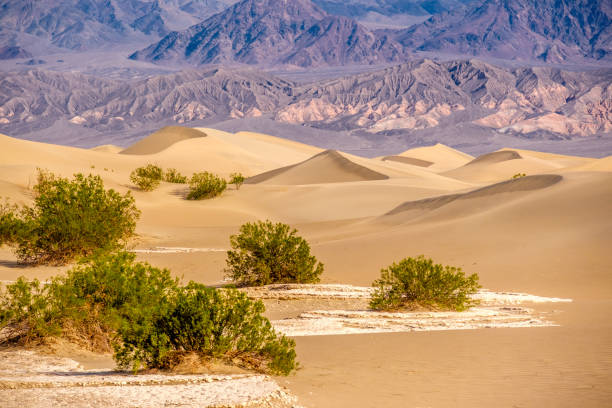 istock Death Valley National Park, Mesquite dunes 673467710