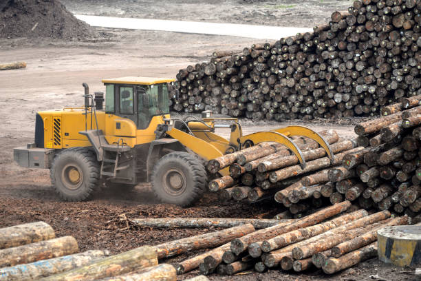 fabbrica di lavorazione del legno - lumber industry timber truck forklift foto e immagini stock