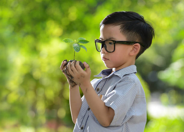 istock Child holding young plant 673478696