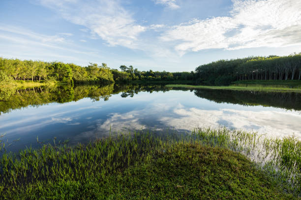 istock Scenic Reflection Of Clouds In Lake 673481645