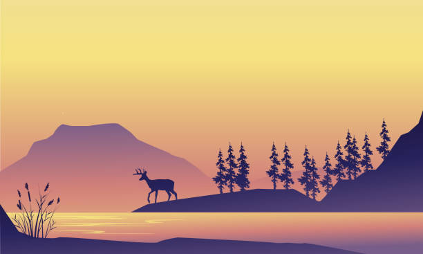 istock Beauty scenery deer at the sunrise silhouette vector art 673485434