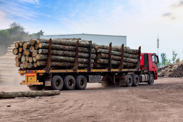 camion che trasportano legname - lumber industry timber truck forklift foto e immagini stock