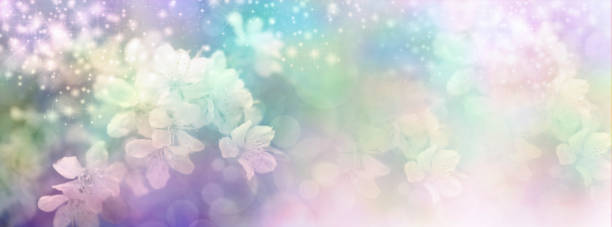 istock Sparkling Blossom Wedding Banner 673510188