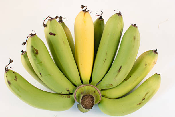 istock Cavendish banana on white background 673510464