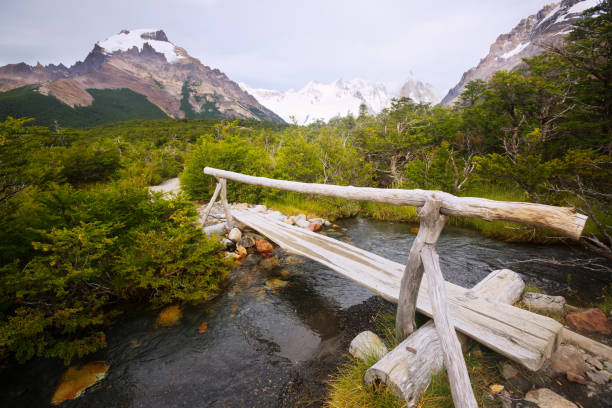 Bridge over creek at foot of Andes mountains Bridge over creek on pathway at foot of mountains, Santa Cruz, Andes, Patagonia, Argentina foothills parkway photos stock pictures, royalty-free photos & images