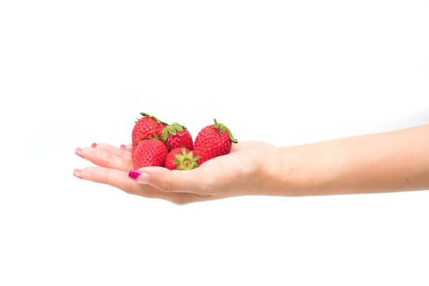 istock Fresh strawberries. holding strawberry in hands 673520576