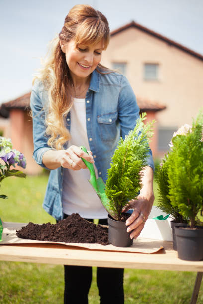 istock Gardening is my favorite weekend activities 673525560