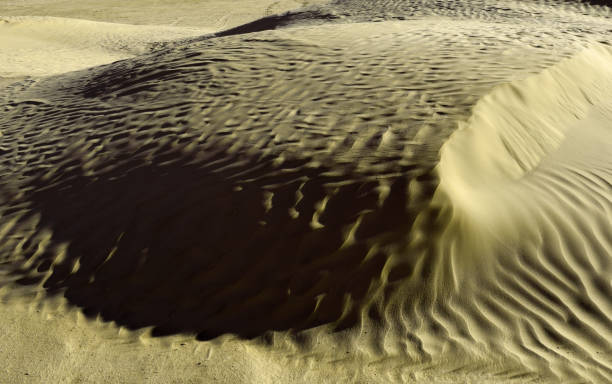 istock Khaki color. Natural texture and background of the desert. Sand patterns 673531640