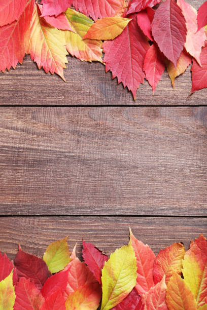 istock Autumn leafs on brown wooden table 673538340