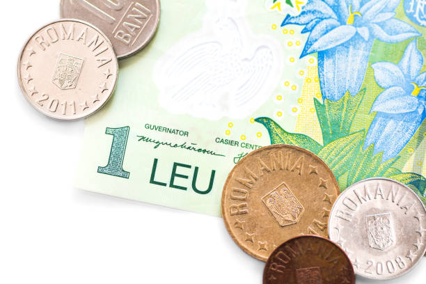 Romanian Leu currency close-up with one Leu banknote and multiple Bani coins