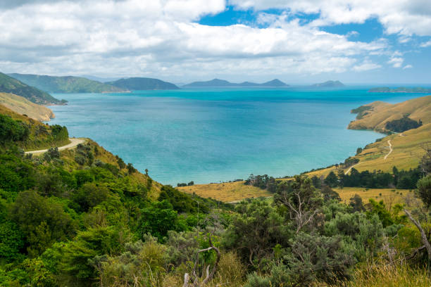 istock Marlborough sounds, New Zealand 673555844