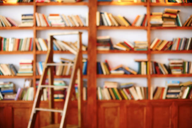 istock Books on bookshelf. Library room, abstract defocused background 673563780