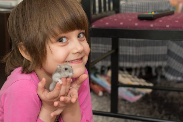 istock Little girl playing with hamster 673582250