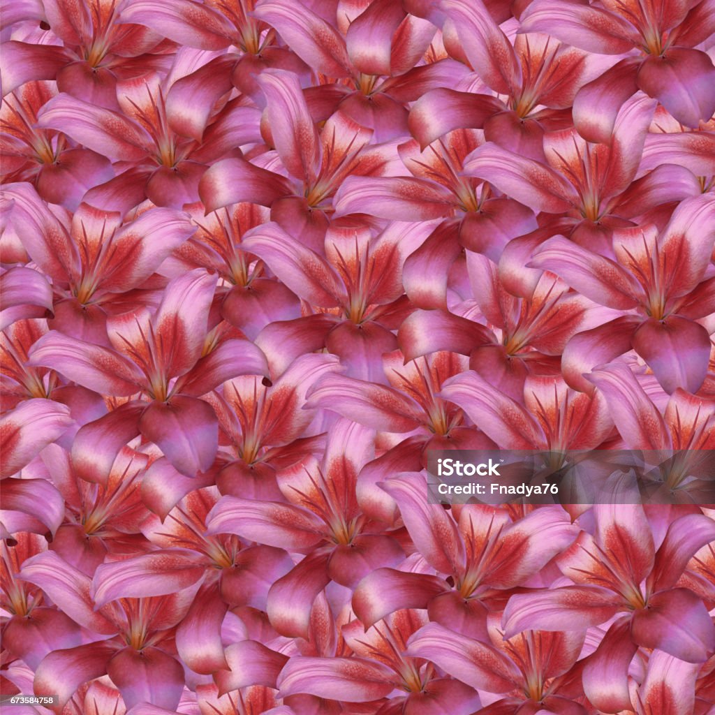 Fondo Infinito Sin Fisuras Floral Lirio De Flores Rojas Para El Diseño Y La Impresión Fondo De Flores Naturales Paredpapeles Foto de stock y más banco de imágenes de A la moda - Fondo Infinito Sin Fisuras Floral Lirio De Flores Rojas Para El Diseño Y La Impresión Fondo De Flores Naturales Paredpapeles Foto de stock y más banco de imágenes de A la moda -