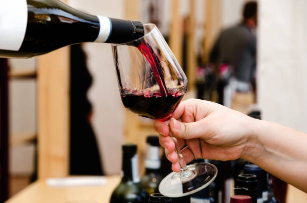 barolo wine tasting experience stock photo
