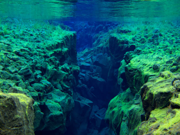 blick auf felsigen kluft in grüner teppich algen in kontinentalen split auf silfra im flachen abschnitt im pingvellir nationalpark 3 abgedeckt - continental divide stock-fotos und bilder