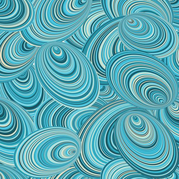 Abalone Shells Vector 350+ Abalone Shells Illustrations, Royalty-Free Vector Graphics & Clip ...