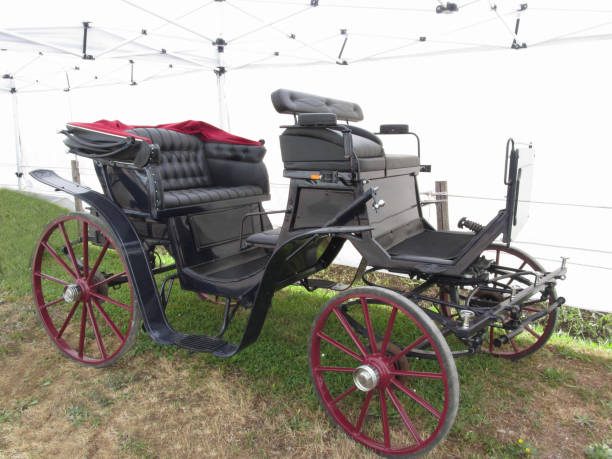 istock Old-fashioned horse carriage on green grass 673593292