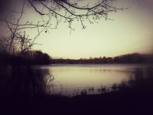 Dried Cattails Silhouette, Collins Park Pond Water, Sunset, Schenectady, NY