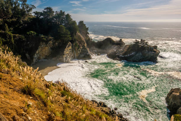 istock USA Pacific coast beach landscape, California 673597524