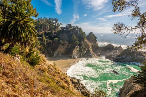istock USA Pacific coast beach landscape, California 673597536