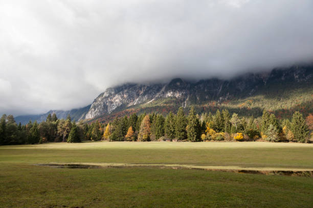 istock In the Gailtal, Carinthia 673602588